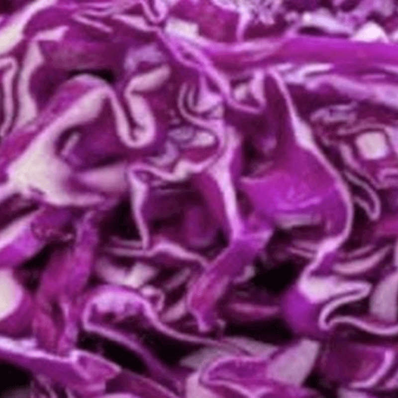 Cabbage